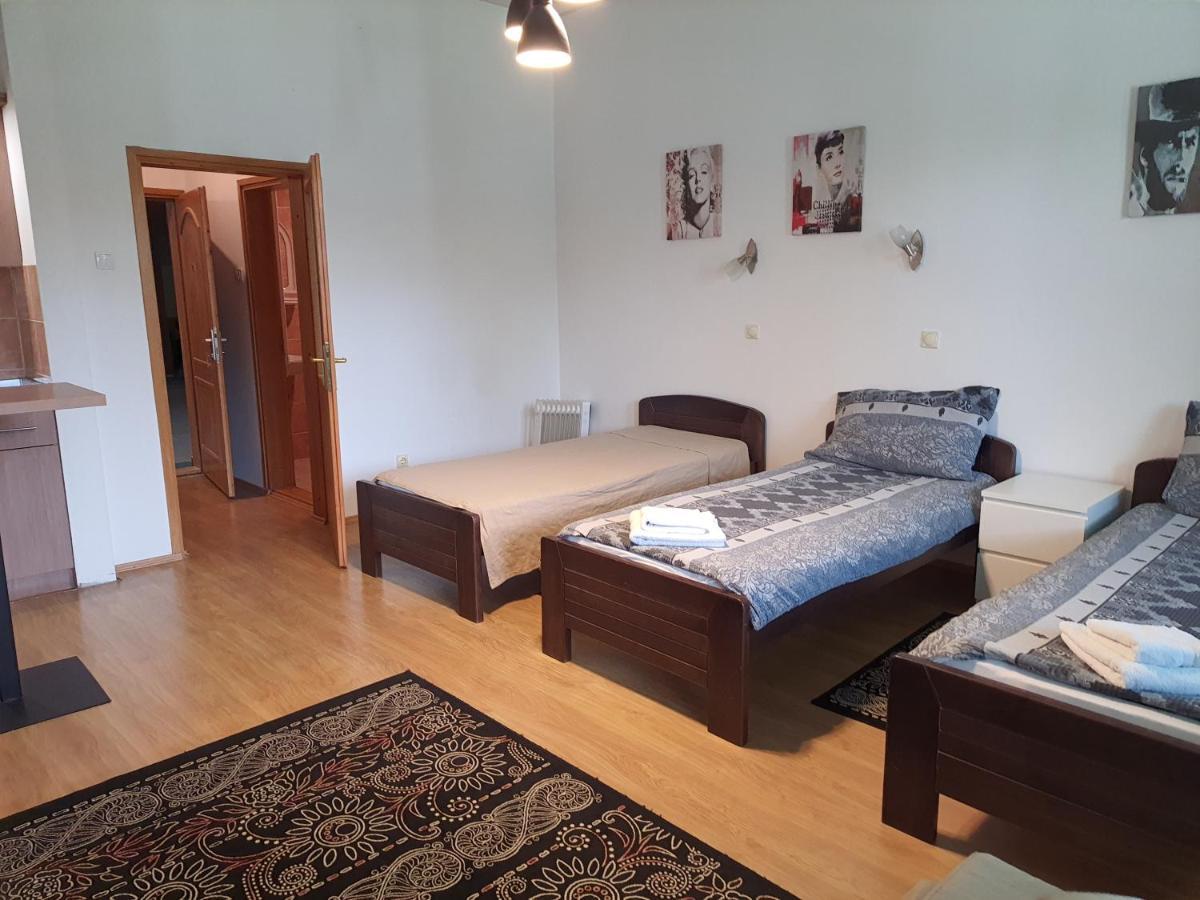 Felix Apartment Zlatibor Zewnętrze zdjęcie