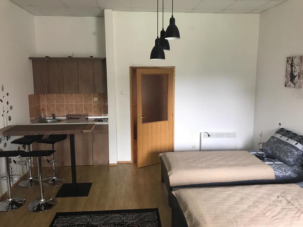 Felix Apartment Zlatibor Zewnętrze zdjęcie